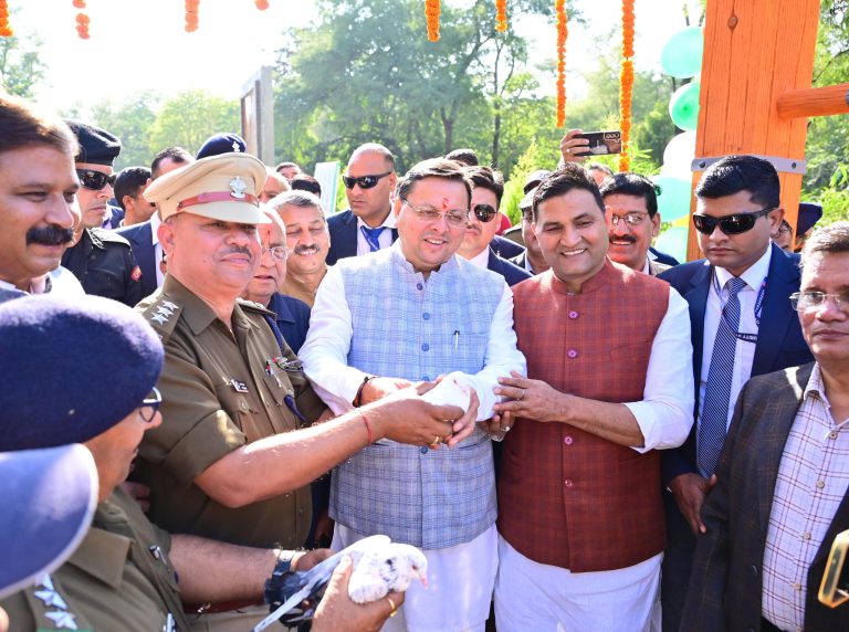 WhatsApp Image 2024-11-30 at 6.51.15 PM