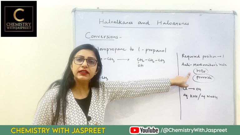 WhatsApp Image 2024-12-16 at 5.09.30 PM