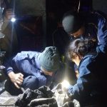 ऋषिकेश मार्ग पर सात मोड़ के पास वाहन बस दुर्घटनाग्रस्त, बस में फंसी लड़की को SDRF उत्तराखंड पुलिस ने किया रेस्क्यू