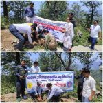 विभिन्न प्रजाति के पौधों का रोपण कर मनाया पर्यावरण दिवस