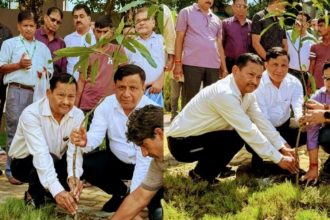 हरेला पर्व परंपरा नहीं, पर्यावरणीय जिम्मेदारी की अभिव्यक्ति है- तिवारी