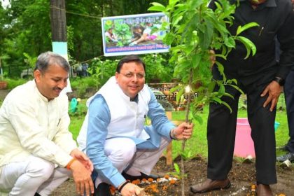 एक पेड़ माँ के नाम’ अभियान के अंतर्गत मुख्यमंत्री ने किया वृक्षारोपण, पर्यावरण संरक्षण का दिया संदेश
