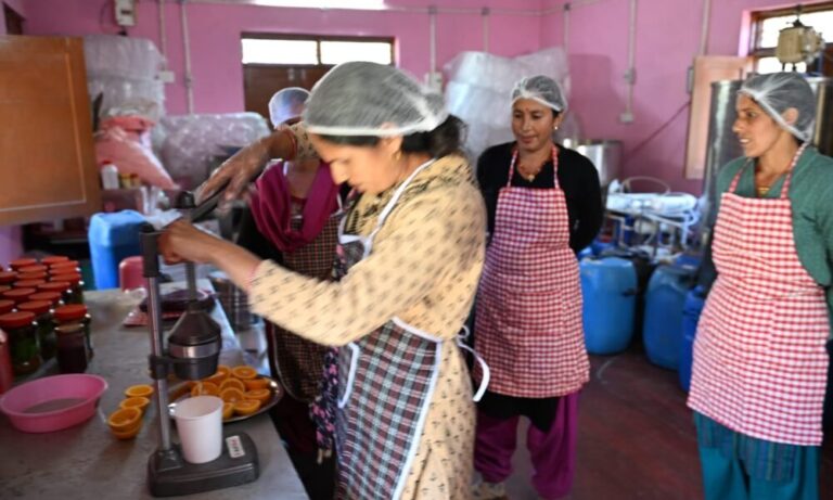 मक्कूमठ में महिला सशक्तिकरण की नई कहानी, ग्रोथ सेंटर से बदली आजीविका