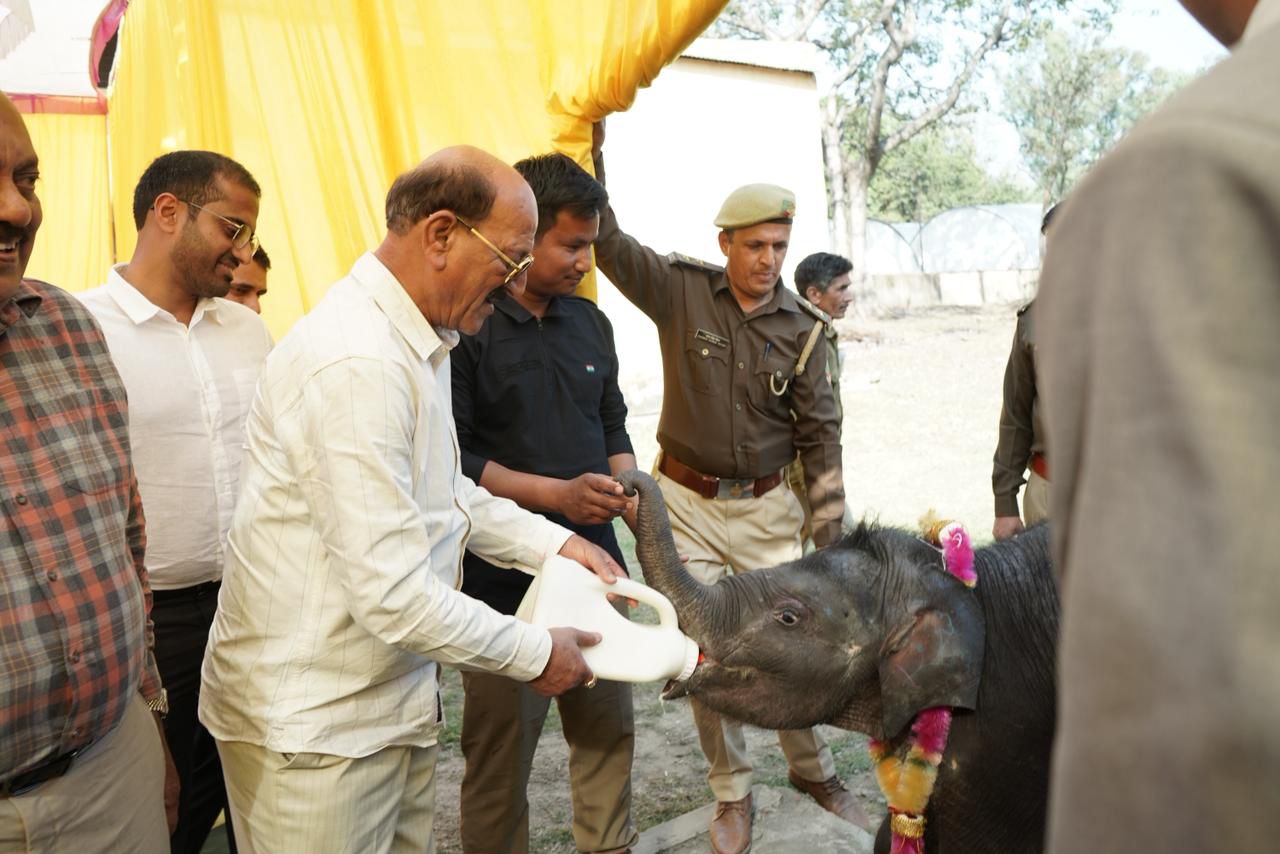 WhatsApp Image 2026-02-19 at 11.02.17 PM