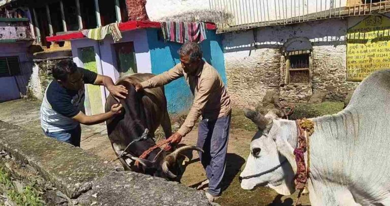 WhatsApp Image 2026-09-19 at 10.03.45 PM